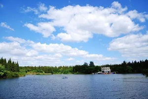 崇明旅游攻略景点必去推荐理由（上海崇明最全十一旅游攻略！最后那个太赞了！）旅游攻略，
